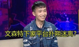 文森特爆料最新消息,最新消息揭秘娱乐圈风云变幻